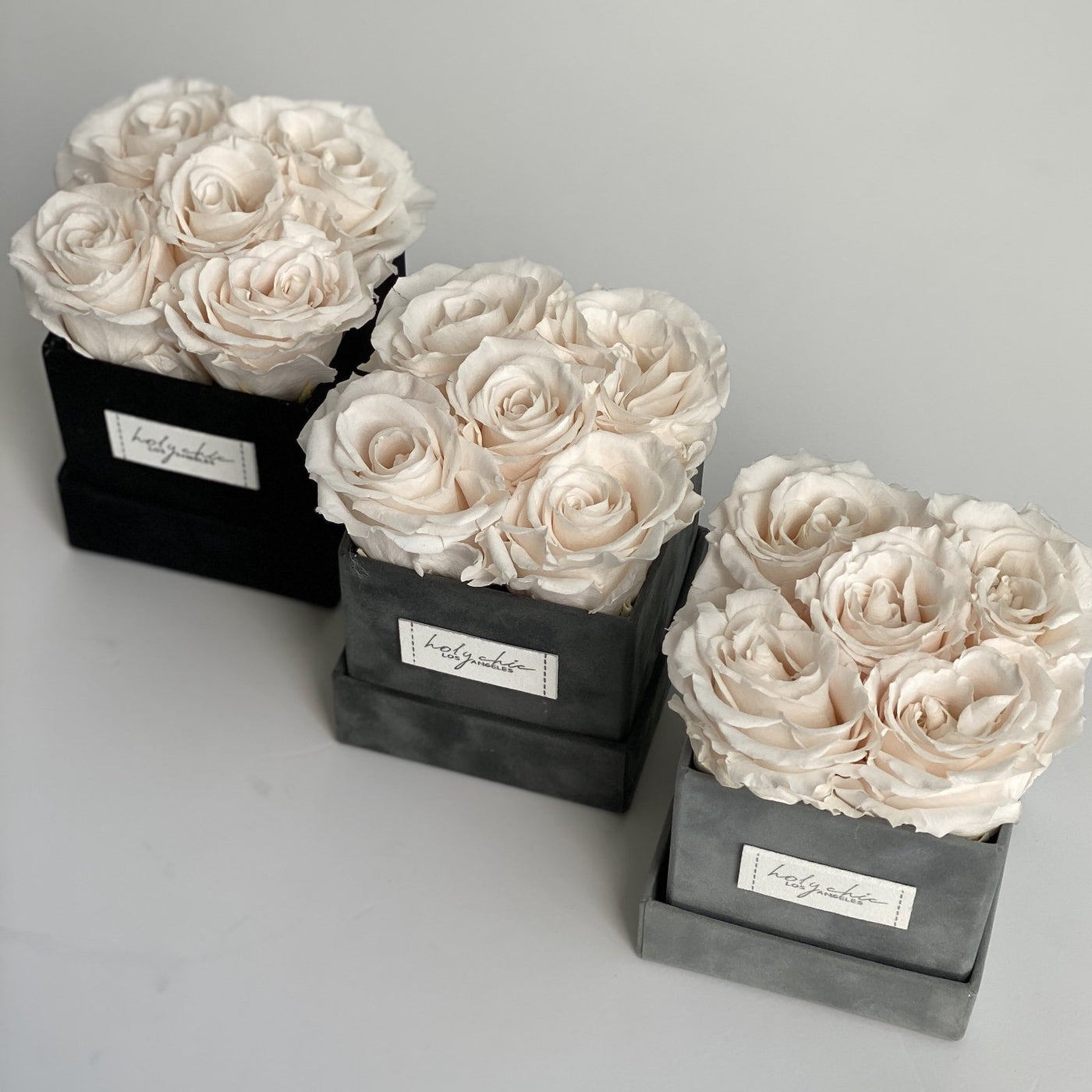Forever roses set in a small square suede box