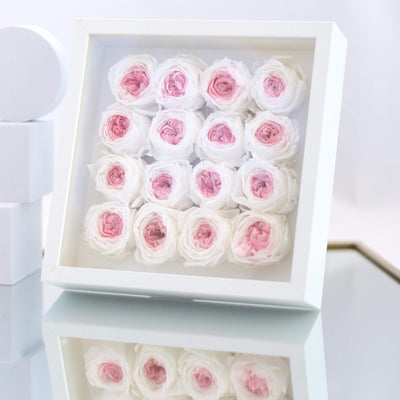 Forever roses set in a white square shadow box