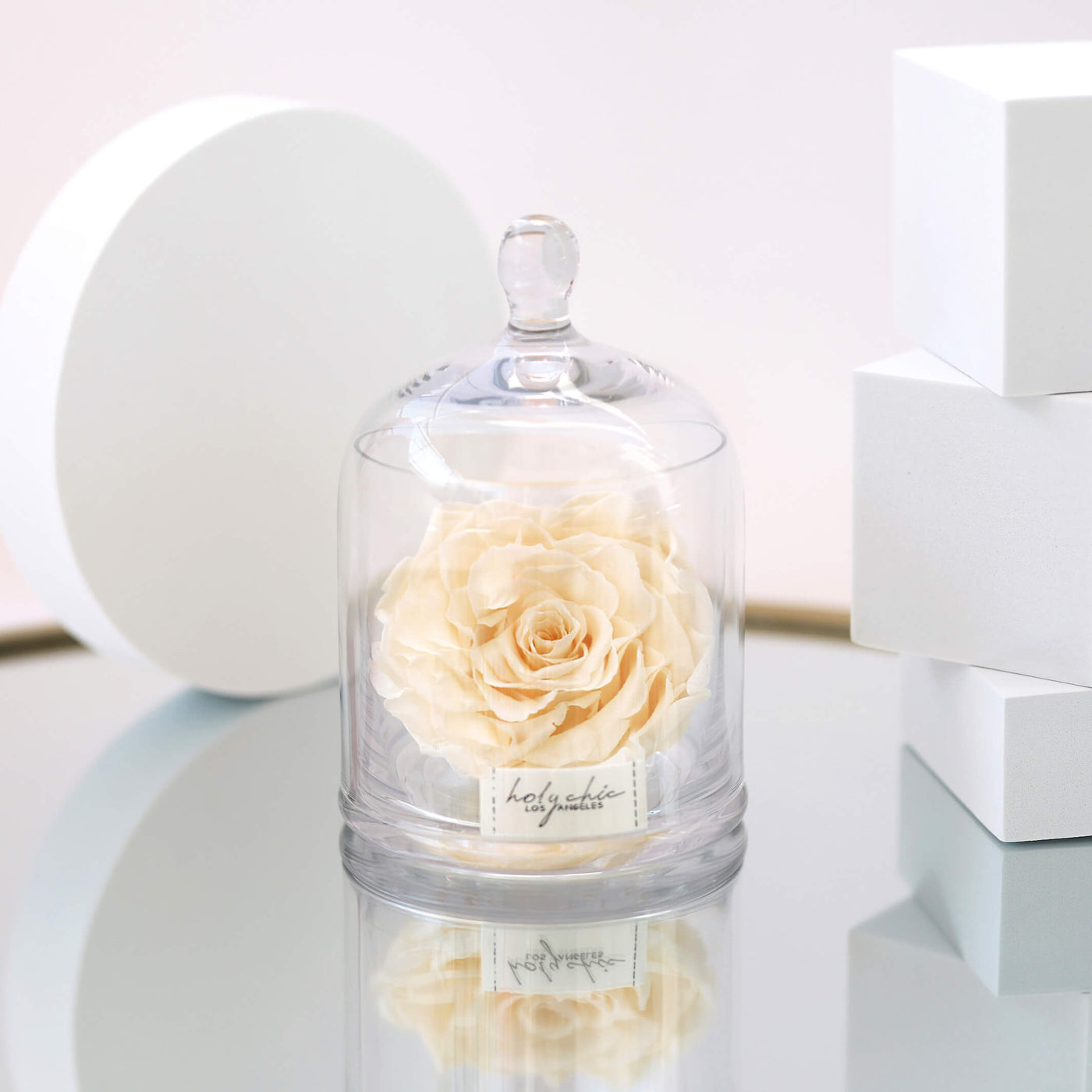 Large forever rose in a clear glass dome