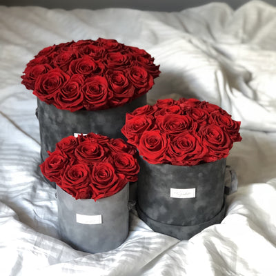 Preserved roses in a European style hat box