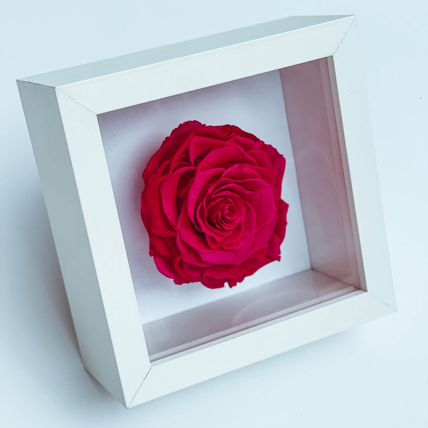 Single Rose Shadow Box