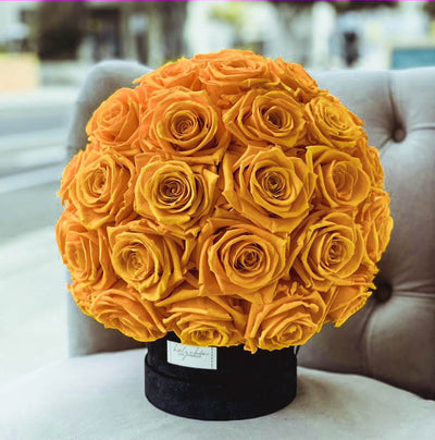 Forever roses set as a dome in a round suede box