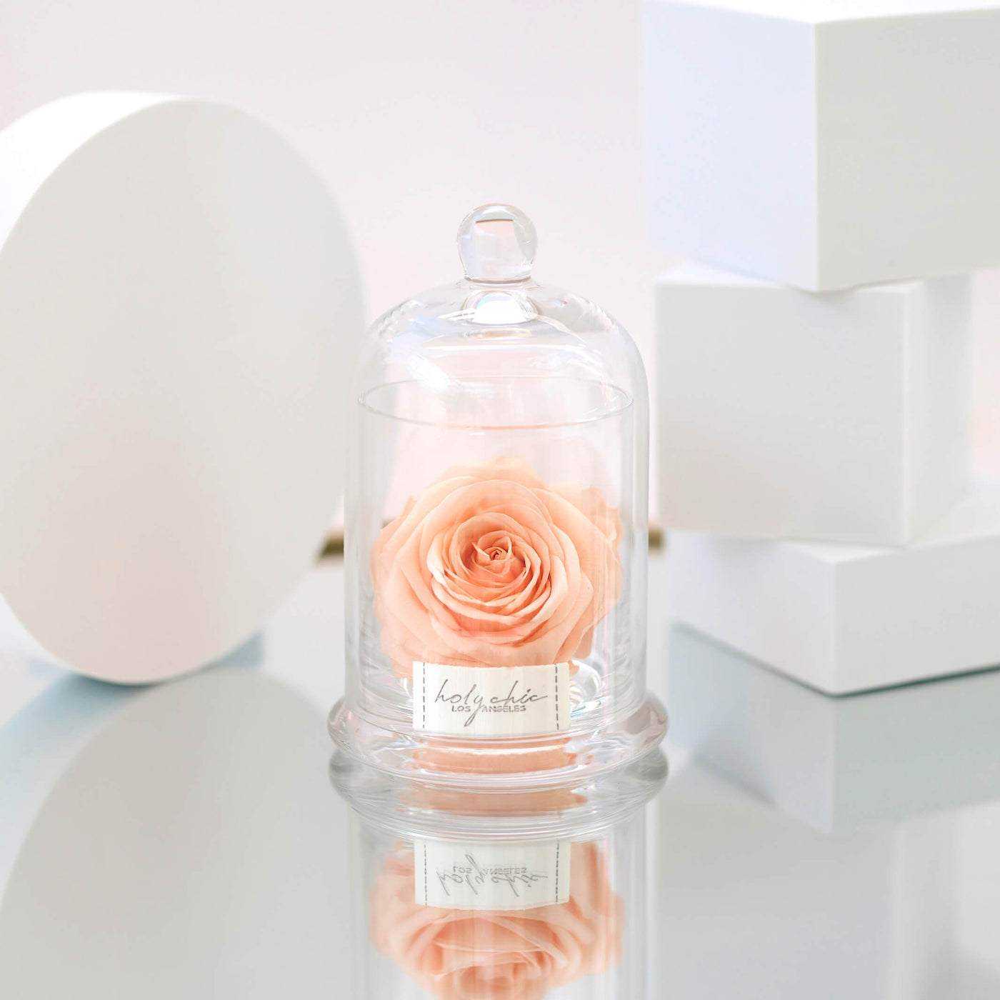 Forever rose in a medium size clear glass dome