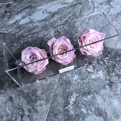 Preserved roses in a in transparent acrylic rectangular box with a lid on top