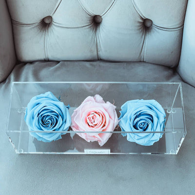 Three forever roses in a clear acrylic box