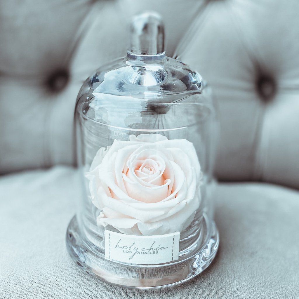 Forever rose in a medium size clear glass dome