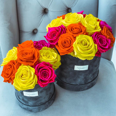 Forever roses set in a dark grey suede box